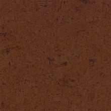 Load image into Gallery viewer, Eco-Nomical - Full Box