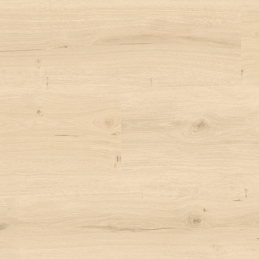 Sunrise Oak Cork Flooring Sample | Serenity Collection
