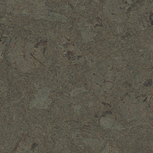 Monsanto Forest Cork Glue-Down Tile Sample | Avant Garde Collection